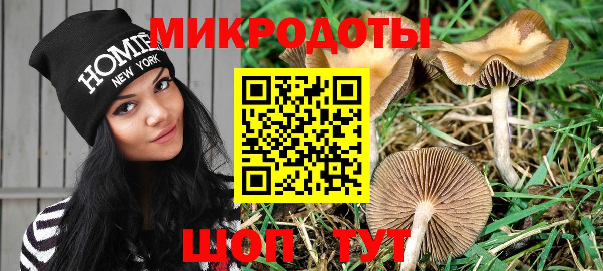 Псилоцибиновые грибы Magic Shrooms Тихорецк