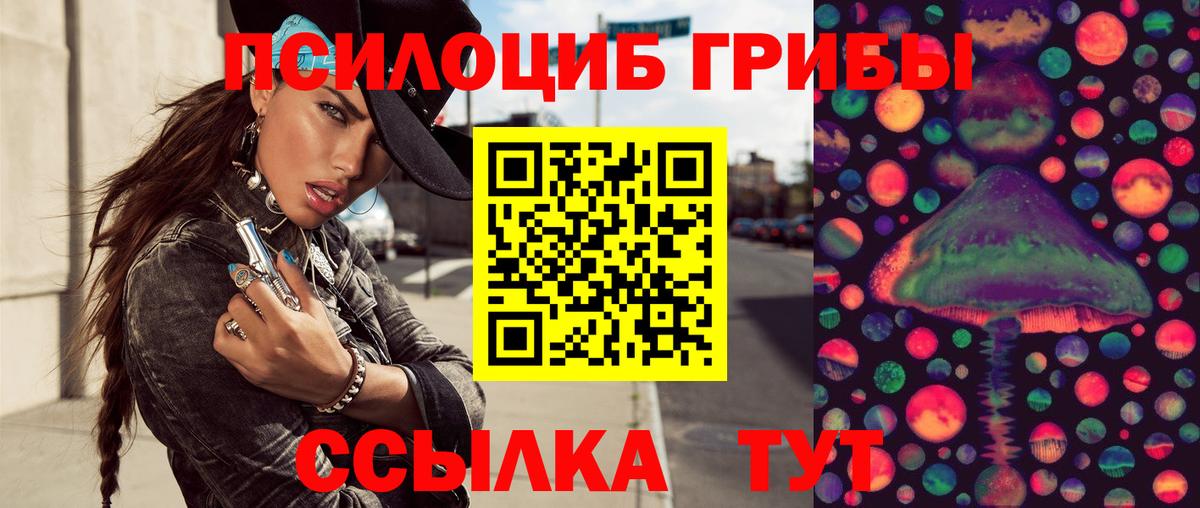 Псилоцибиновые грибы Cubensis  Вход с VPN  Галлюциногенные грибы мухоморы  Тихорецк 