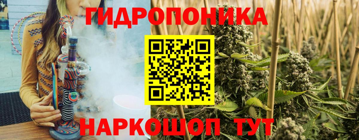 Тихорецк  Марихуана SATIVA & INDICA  Канабис сатива  Вход с VPN  Бошки марихуана SATIVA & INDICA  МАРИХУАНА планчик 
